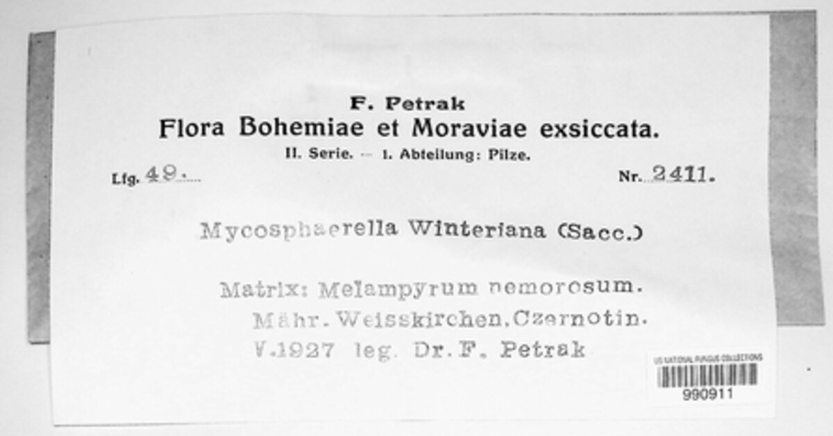 Didymella winteriana image
